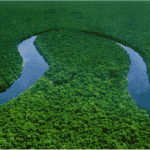 The Congo River